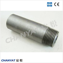 A312 (TP304L, TP316L, TP317L) Stainless Steel Ecc. /Con. Pipe Straight Nipple